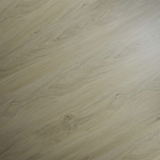 Zodiac-_0000_CAPRICORN.jpg Zodiac-_0000_CAPRICORN.jpg