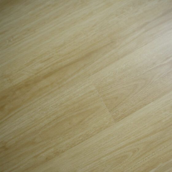 Zodiac-_0002_LEO Zodiac-_0002_LEO