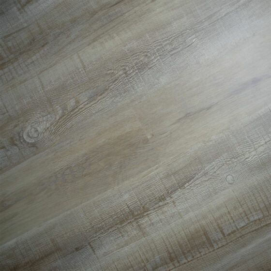 Zodiac-_0003_AQUARIUS Zodiac-_0003_AQUARIUS